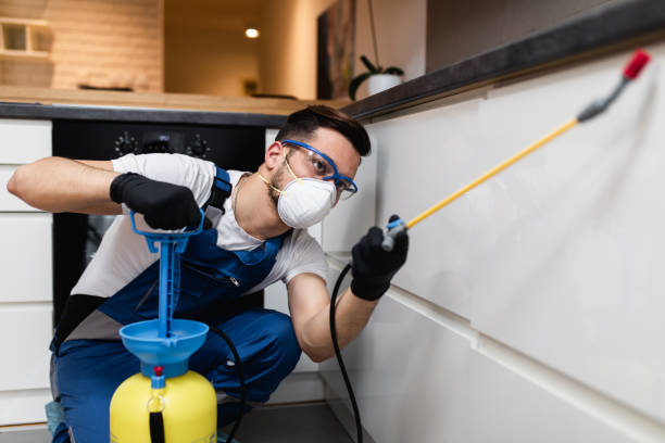 Best Bed Bug Extermination  in Dunn, NC