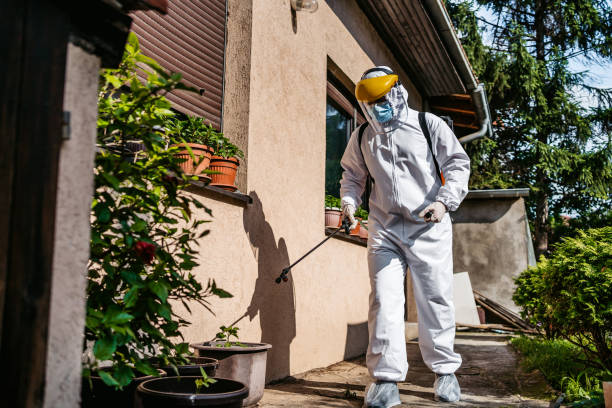 Reliable Dunn, NC Pest Control Solutions