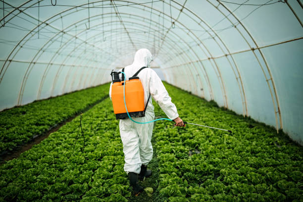 Best Residential Pest Control  in Dunn, NC