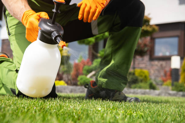 Best Rat Extermination Near Me  in Dunn, NC