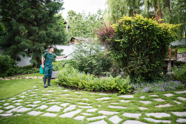Best Pest Prevention Services  in Dunn, NC