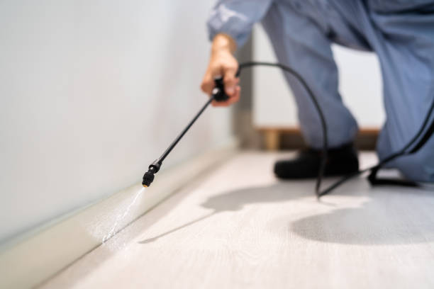 Best Flea Control Services  in Dunn, NC