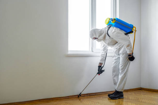 Best Pest Prevention Services  in Dunn, NC