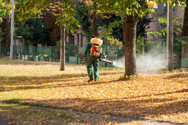 Best Mosquito Control Services  in Dunn, NC