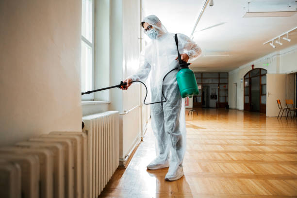 Best Wasp Removal Services  in Dunn, NC